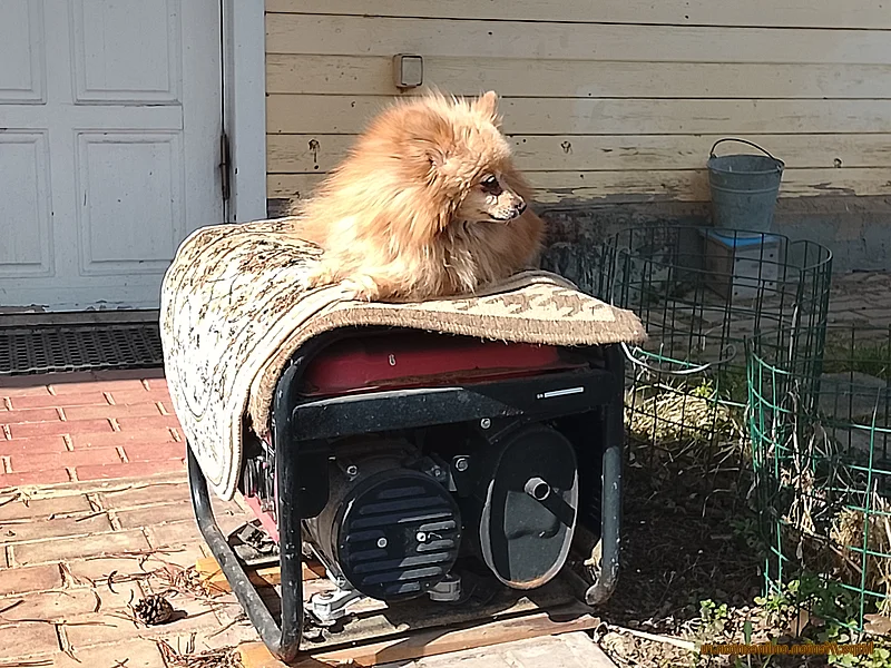 Аська на посту