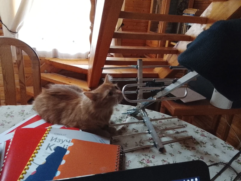 Фентон исследует сигнал