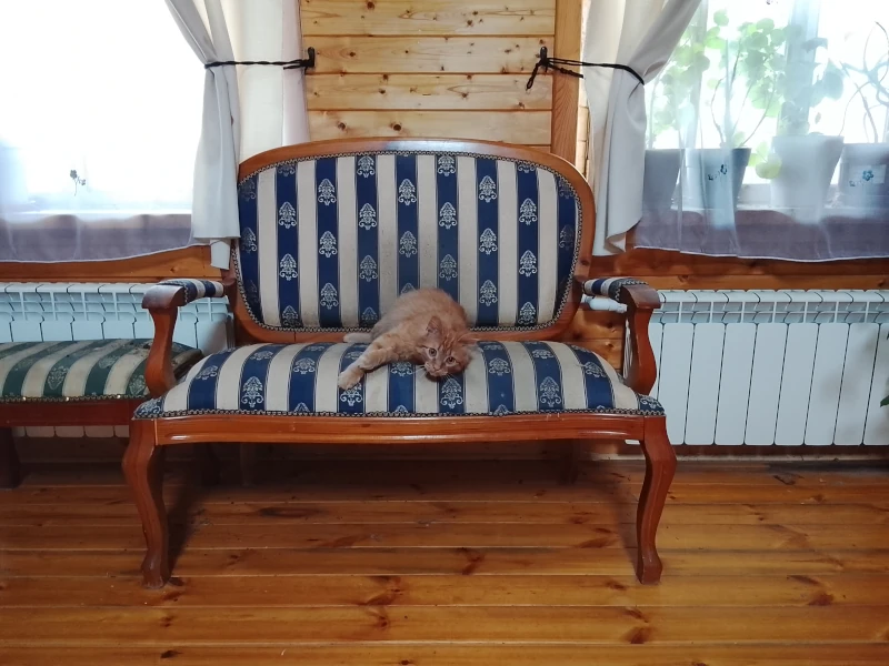 Фентон занял диван