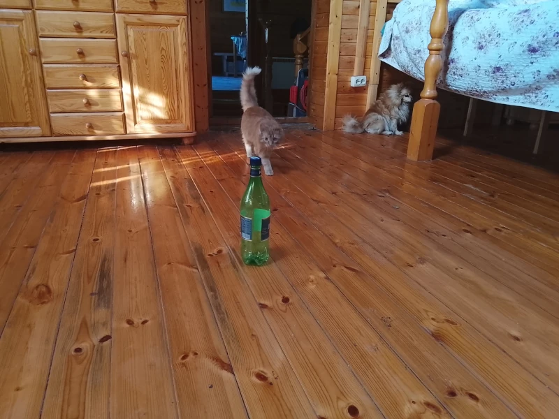 Фентон и бутылка