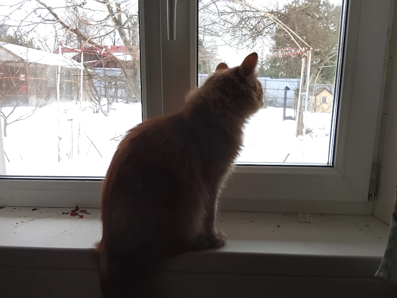 Фентон на посту