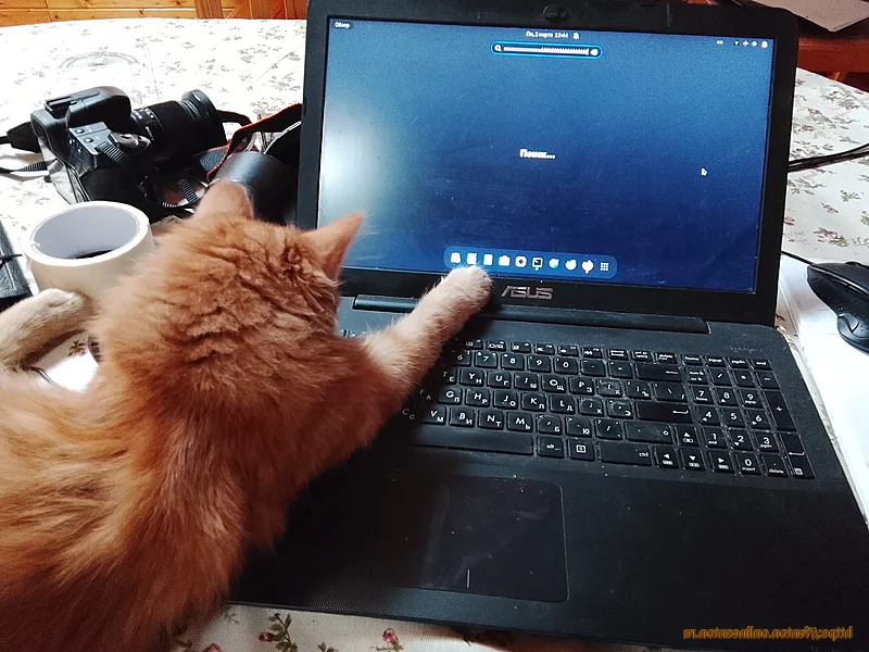 Фентон изучает карту цифровых атак