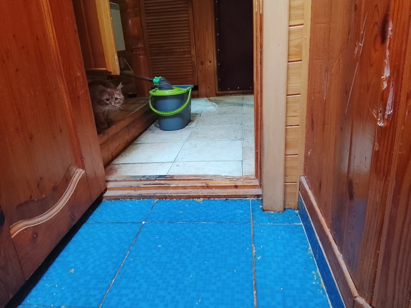 Фентон и вода