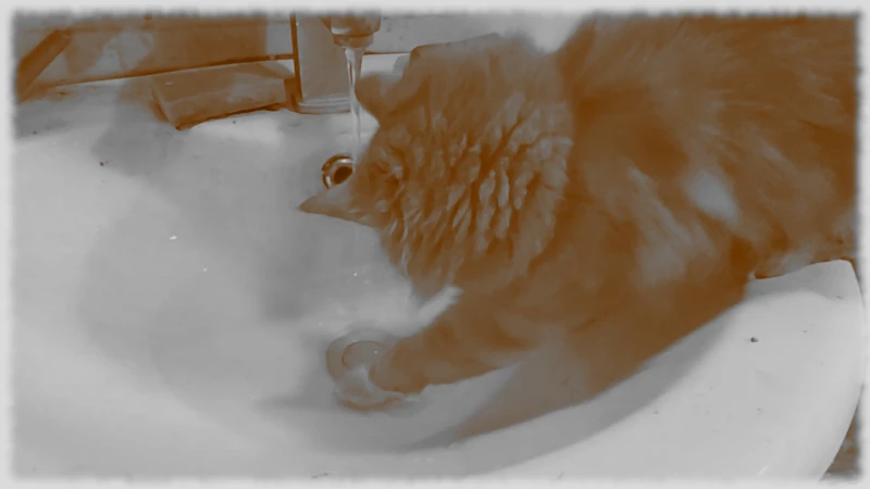 Фентон и кран