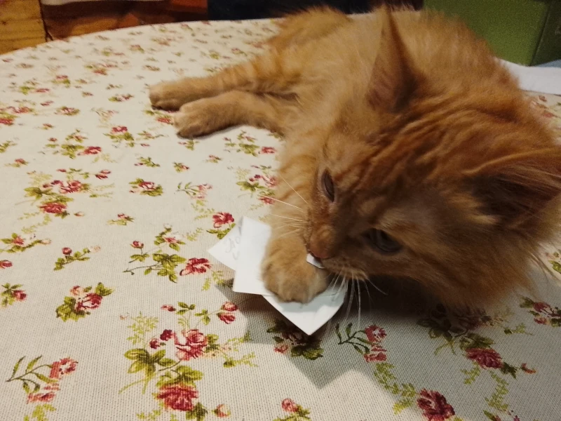 Фентон-шифровщик